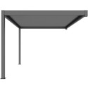 X-Metal Pergolas bioclimatiques Gris Aluminium 12m²