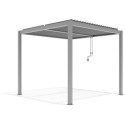 Gardenas Abris de jardin en bois Marron Bois massif 4.2m²