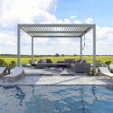 Gardenas Abris de jardin en bois Marron Bois massif 8.61m²