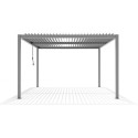 Gardenas Abris de jardin en bois Marron Bois massif 11.36m²