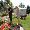 Lifetime Abri de jardin résine Beige Polyéthylène Haute Densité (HDPE) 5.8m²