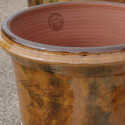 Terre Figuière Marron Terre cuite