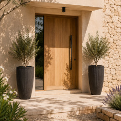 MEGACOLLECTIONS Marron Fibre de terre