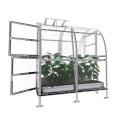 Klasika Greenhouses Gris 4m²