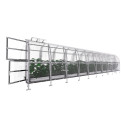 Klasika Greenhouses Gris 20m²