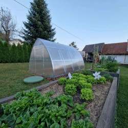 Klasika Greenhouses Gris 12m²