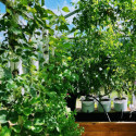 MyFab Accessoires serre de jardin