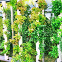 MyFab Accessoires serre de jardin