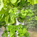MyFab Accessoires serre de jardin