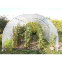 Abri de culture semi professionnel 8m² - RICHEL