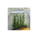 Serre tunnel de culture pieds droits 6m² RICHEL
