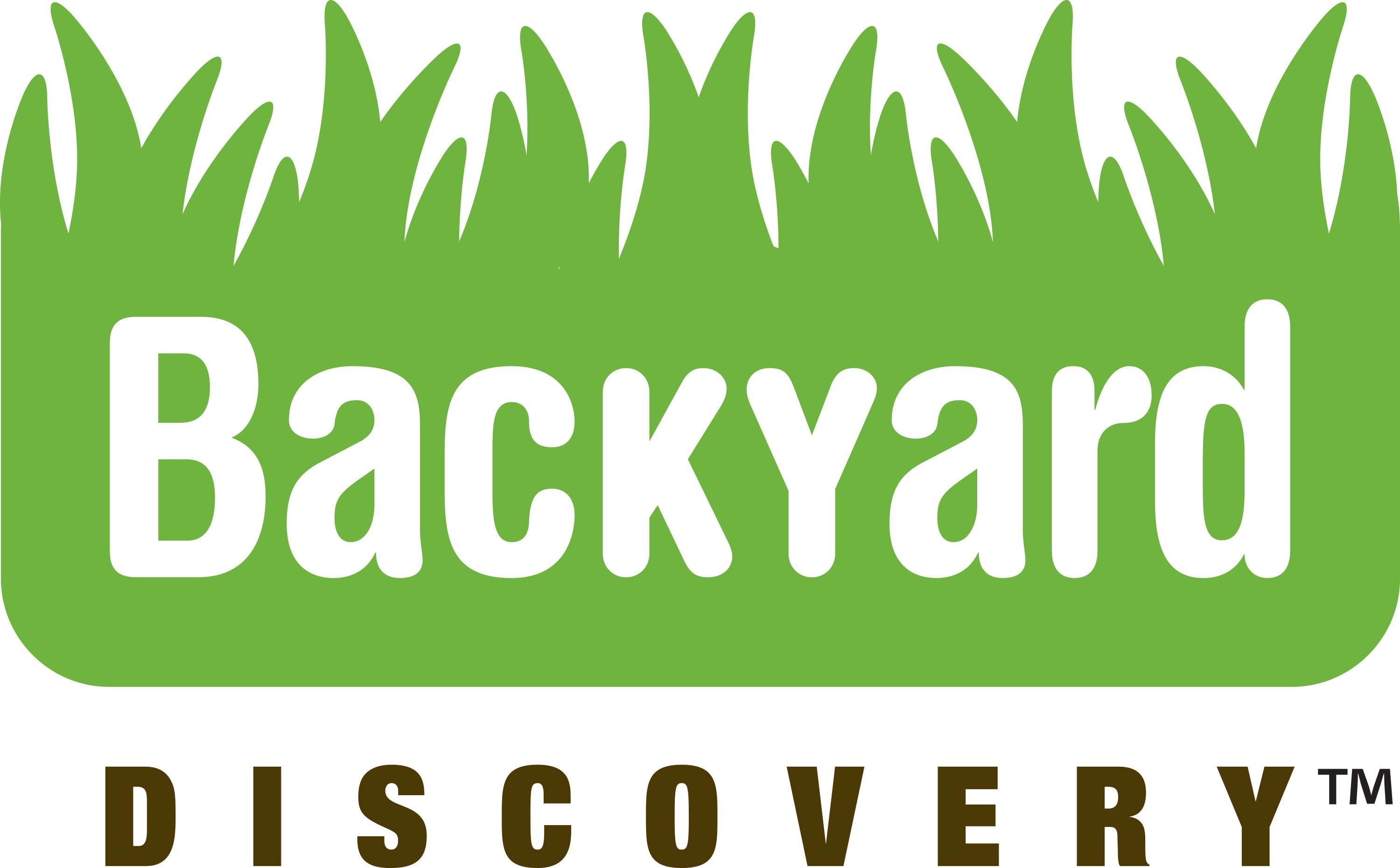 Backyard Discovery
