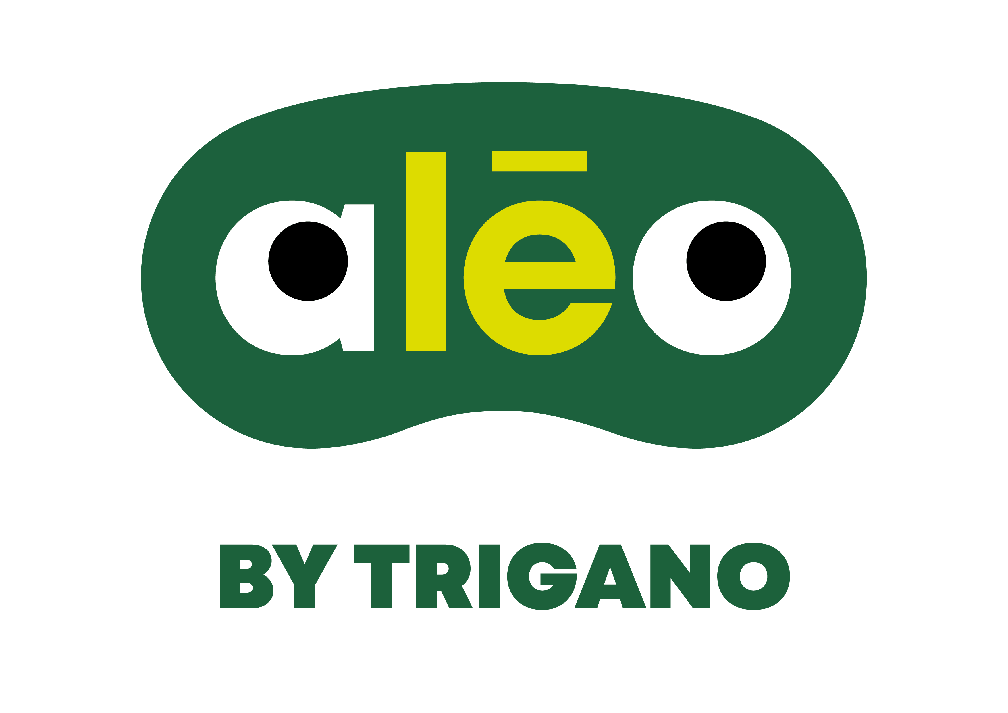 Trigano Piscines